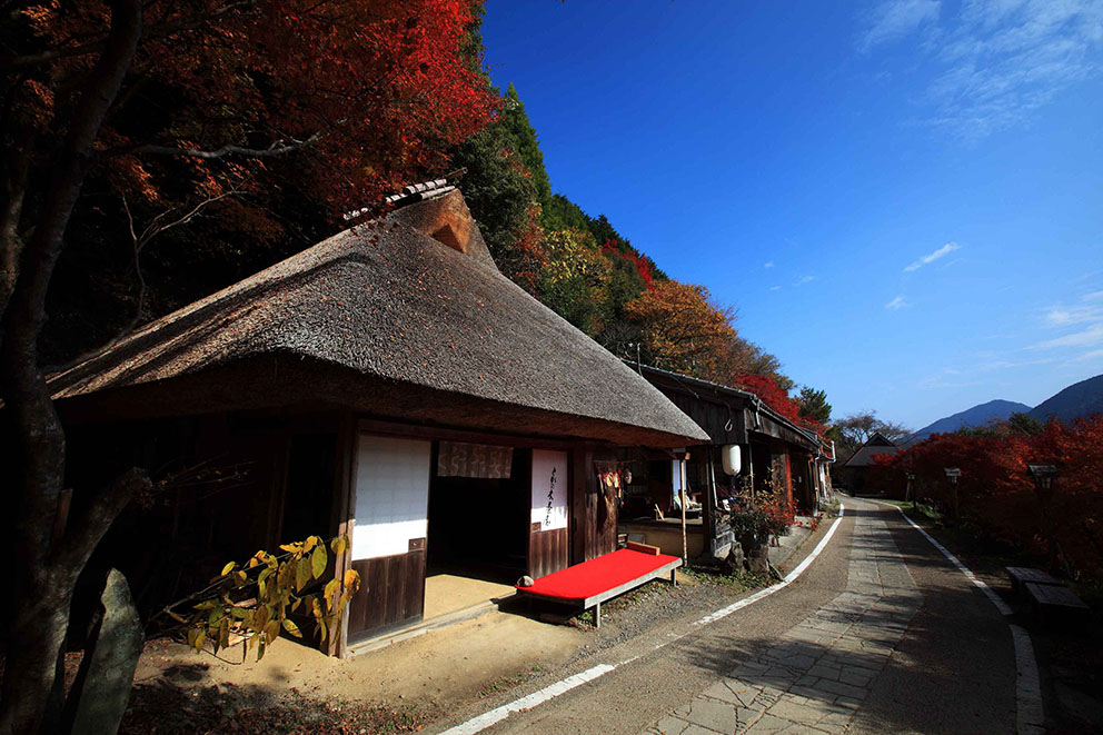 Kumano Kodo near Tsugizakura-oji